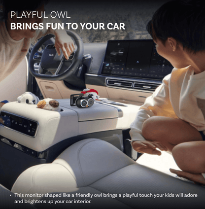 Προσαρμογέας Carplay Αυτοκινήτου Ottocast Cabin Care για Apple iPhone Series CA520-T