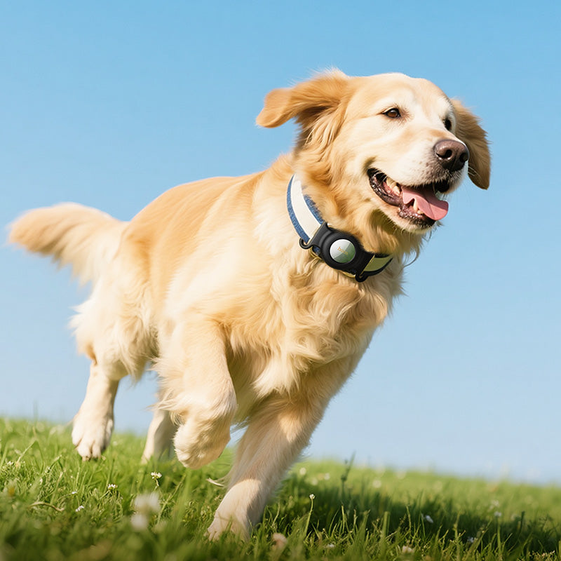 HOCO SmartTag E91C για σειρές iOS, Λευκό