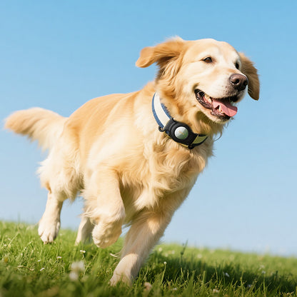 HOCO SmartTag E91C για σειρές iOS, Λευκό