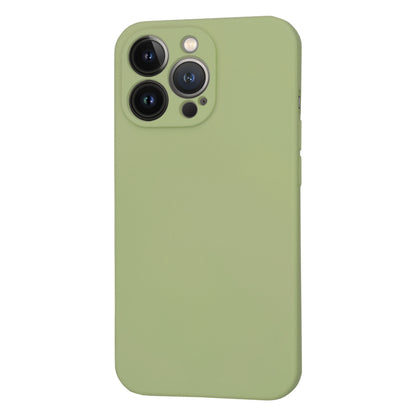 Θήκη MagSafe για Apple iPhone 13 Pro, Techsuit, SoftFlex, Matcha
