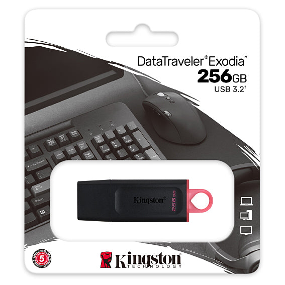 Εξωτερική μνήμη USB-A 3.2 Kingston DT Exodia, 256Gb DTX/256GB