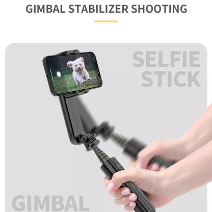 Gimbal Σταθεροποιητής Bluetooth Techsuit L09 Gimbal, Παγκόσμιος, Μαύρο